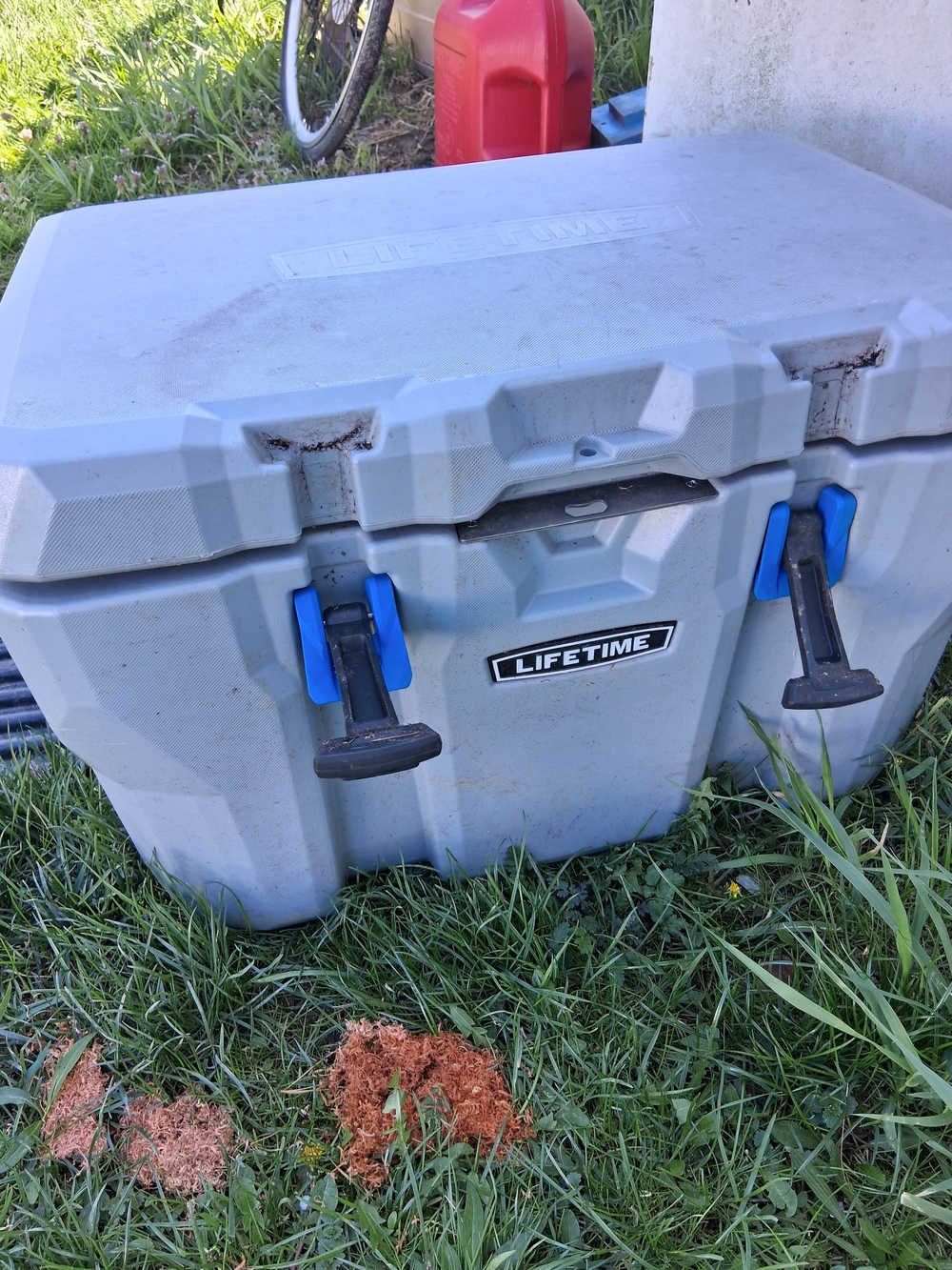 Lifetime Heavy-Duty Cooler 55 Quart